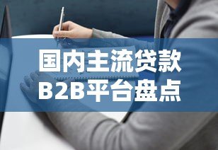 国内主流贷款B2B平台盘点与选择指南 国内主流贷款B2B平台盘点与选择指南