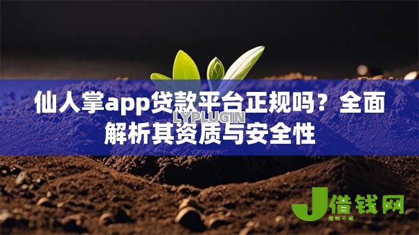 仙人掌app贷款平台正规吗？全面解析其资质与安全性