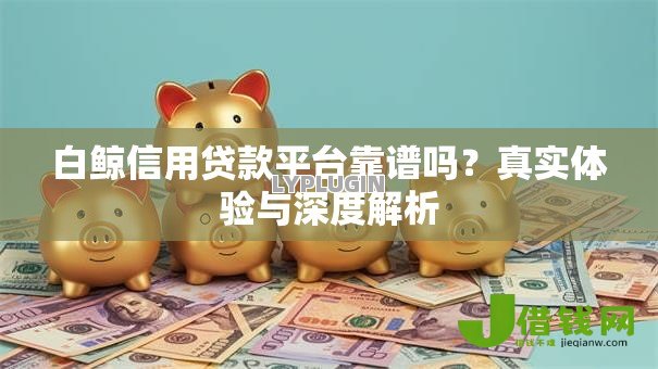白鲸信用贷款平台靠谱吗？真实体验与深度解析