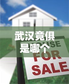 武汉竟俱是哪个贷款平台？真实情况揭秘与正规贷款推荐