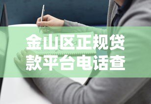 金山区正规贷款平台电话查询及申请指南 金山区正规贷款平台电话查询及申请指南