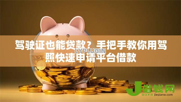 驾驶证也能贷款？手把手教你用驾照快速申请平台借款