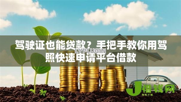 驾驶证也能贷款？手把手教你用驾照快速申请平台借款