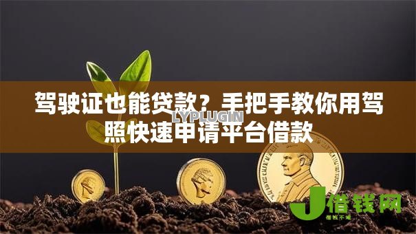 驾驶证也能贷款？手把手教你用驾照快速申请平台借款