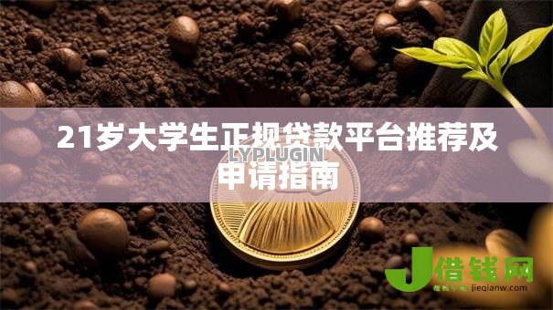 21岁大学生正规贷款平台推荐及申请指南 21岁大学生正规贷款平台推荐及申请指南