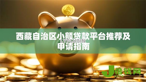 西藏自治区小额贷款平台推荐及申请指南