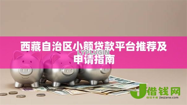 西藏自治区小额贷款平台推荐及申请指南