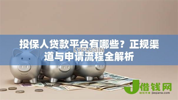 投保人贷款平台有哪些？正规渠道与申请流程全解析