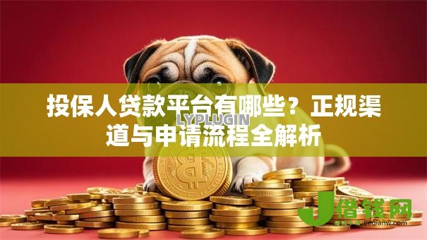 投保人贷款平台有哪些？正规渠道与申请流程全解析