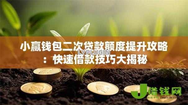 小赢钱包二次贷款额度提升攻略:快速借款技巧大揭秘 小赢钱包二次贷款额度提升攻略:快速借款技巧大揭秘