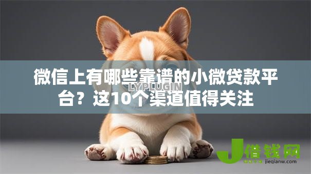 微信上有哪些靠谱的小微贷款平台？这10个渠道值得关注