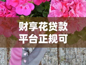 财享花贷款平台正规可靠吗?真实评测及用户反馈解析 财享花贷款平台正规可靠吗?真实评测及用户反馈解析