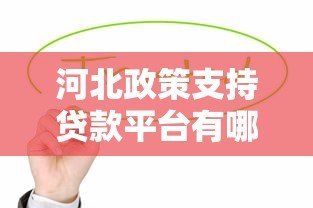 河北政策支持贷款平台有哪些？这5家机构值得关注！