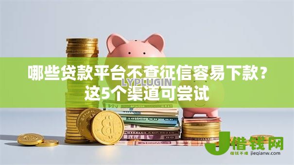哪些贷款平台不查征信容易下款?这5个渠道可尝试 哪些贷款平台不查征信容易下款?这5个渠道可尝试