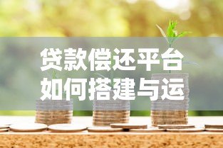 贷款偿还平台如何搭建与运营?全流程解析及成功案例 贷款偿还平台如何搭建与运营?全流程解析及成功案例