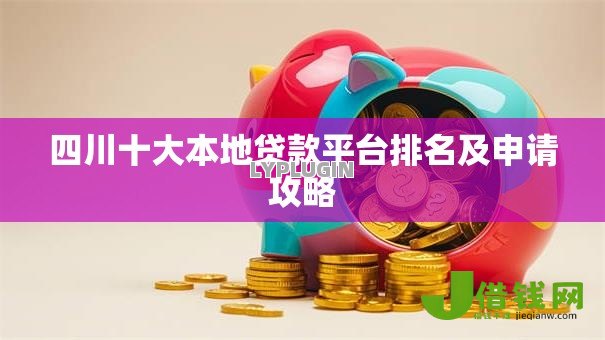 四川十大本地贷款平台排名及申请攻略
