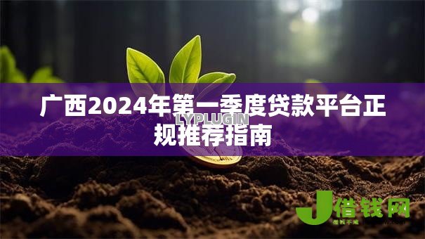 广西2024年第一季度贷款平台正规推荐指南