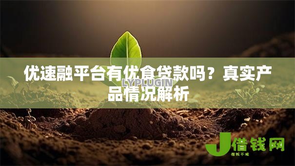 优速融平台有优食贷款吗？真实产品情况解析