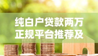 纯白户贷款两万正规平台推荐及申请全攻略