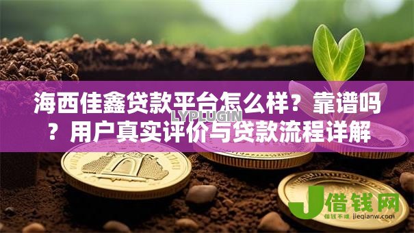 海西佳鑫贷款平台怎么样?靠谱吗?用户真实评价与贷款流程详解 海西佳鑫贷款平台怎么样?靠谱吗?用户真实评价与贷款流程详解