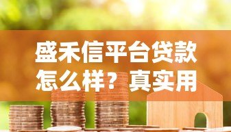 盛禾信平台贷款怎么样？真实用户评测与贷款流程解析