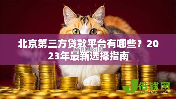 北京第三方贷款平台有哪些?2023年最新选择指南 北京第三方贷款平台有哪些?2023年最新选择指南