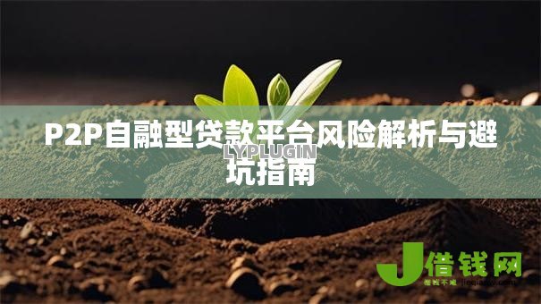 P2P自融型贷款平台风险解析与避坑指南 P2P自融型贷款平台风险解析与避坑指南