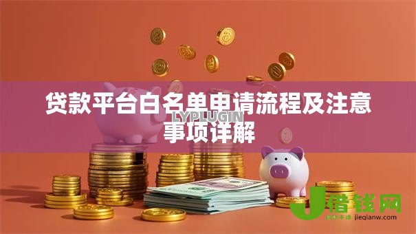 贷款平台白名单申请流程及注意事项详解 贷款平台白名单申请流程及注意事项详解