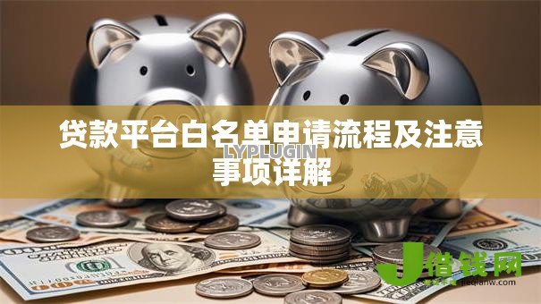 贷款平台白名单申请流程及注意事项详解 贷款平台白名单申请流程及注意事项详解