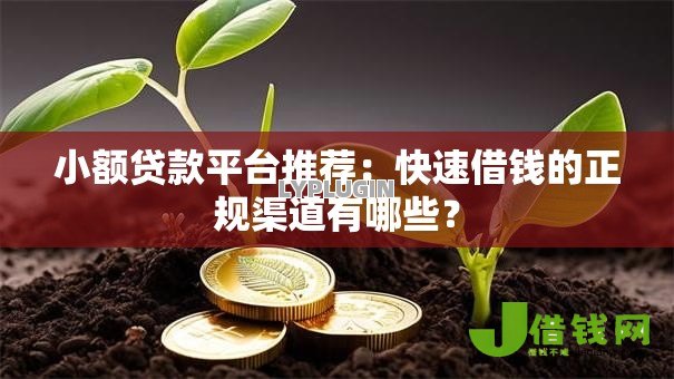 小额贷款平台推荐：快速借钱的正规渠道有哪些？