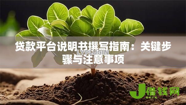 贷款平台说明书撰写指南:关键步骤与注意事项 贷款平台说明书撰写指南:关键步骤与注意事项