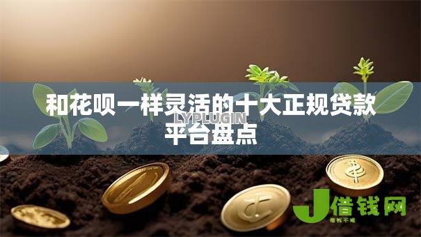 和花呗一样灵活的十大正规贷款平台盘点 和花呗一样灵活的十大正规贷款平台盘点