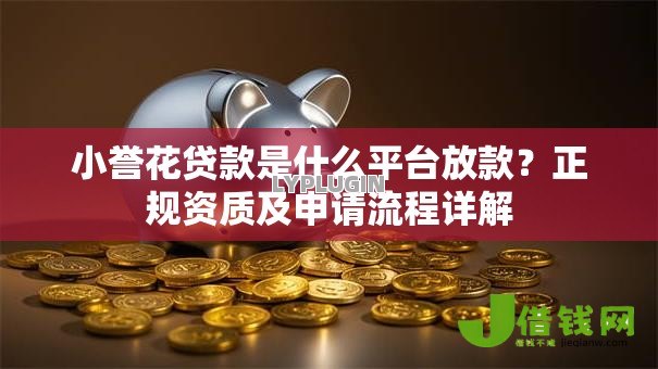 小誉花贷款是什么平台放款？正规资质及申请流程详解