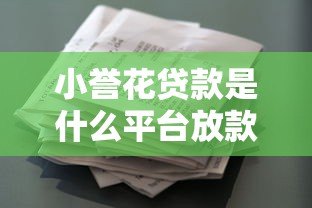 小誉花贷款是什么平台放款？正规资质及申请流程详解