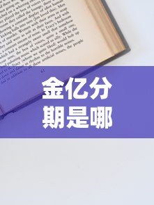 金亿分期是哪个贷款平台？资质查询、产品特点及申请流程全解析