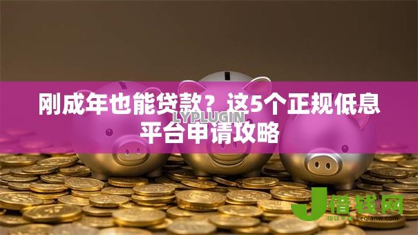 刚成年也能贷款？这5个正规低息平台申请攻略