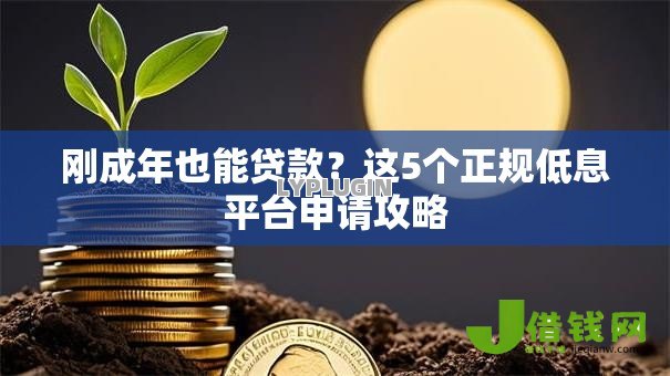 刚成年也能贷款？这5个正规低息平台申请攻略