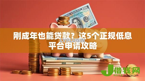 刚成年也能贷款？这5个正规低息平台申请攻略