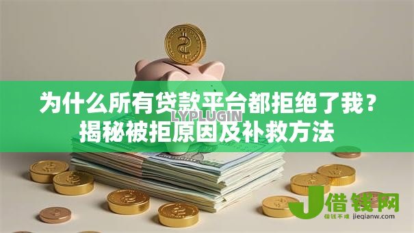 为什么所有贷款平台都拒绝了我？揭秘被拒原因及补救方法