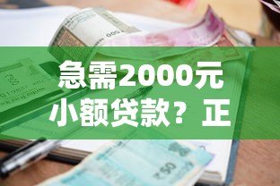 急需2000元小额贷款？正规平台推荐及避坑指南
