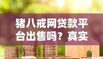 猪八戒网贷款平台出售吗？真实情况解析与用户指南