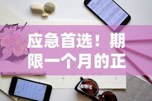 应急首选!期限一个月的正规贷款平台推荐及申请指南 应急首选!期限一个月的正规贷款平台推荐及申请指南