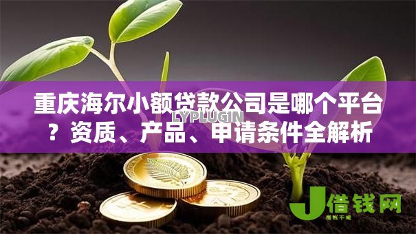 重庆海尔小额贷款公司是哪个平台?资质、产品、申请条件全解析 重庆海尔小额贷款公司是哪个平台?资质、产品、申请条件全解析