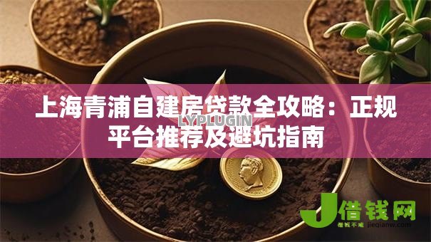 上海青浦自建房贷款全攻略:正规平台推荐及避坑指南 上海青浦自建房贷款全攻略:正规平台推荐及避坑指南