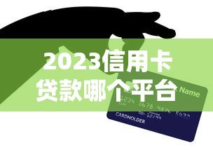 2023信用卡贷款哪个平台好下款？这6个低门槛平台通过率高