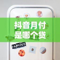 抖音月付是哪个贷款平台？正规贷款产品详细解析