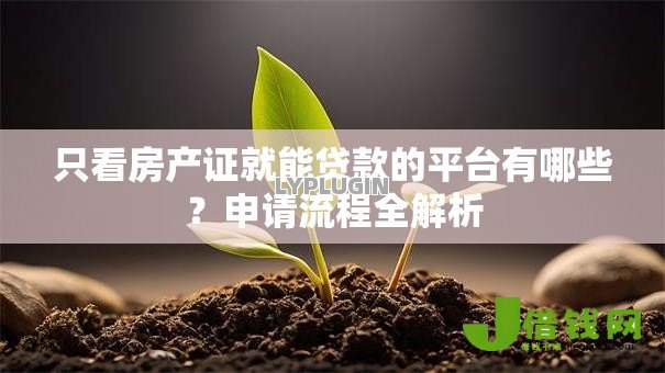 只看房产证就能贷款的平台有哪些?申请流程全解析 只看房产证就能贷款的平台有哪些?申请流程全解析