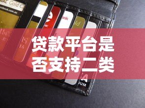 贷款平台是否支持二类卡?详细解答与使用指南 贷款平台是否支持二类卡?详细解答与使用指南
