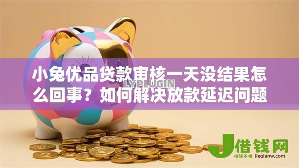 小兔优品贷款审核一天没结果怎么回事?如何解决放款延迟问题 小兔优品贷款审核一天没结果怎么回事?如何解决放款延迟问题
