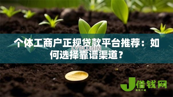 个体工商户正规贷款平台推荐：如何选择靠谱渠道？